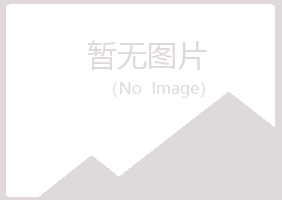 湖北夜山能源有限公司